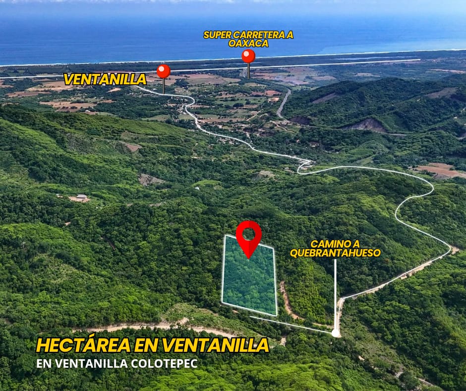 Vista aérea del terreno en Ventanilla Colotepec con el Pacífico al fondo