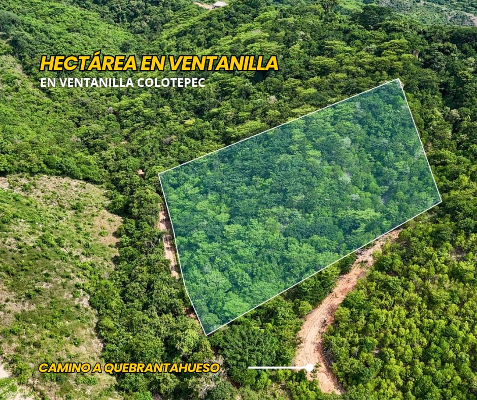 Polígono del terreno de 1¾ hectáreas en Ventanilla Colotepec
